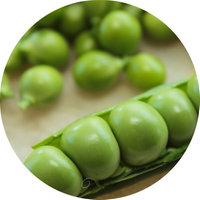 Närbild på gröna ärter. Länkar till informationssida om baljväxter.