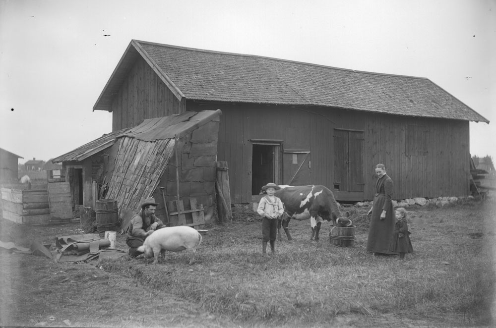 Två vuxna och två barn framför ett hus tillsammans med en gris och en ko.