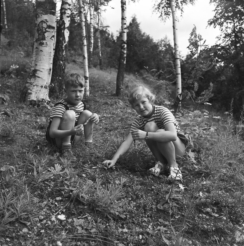 två barn sitter på knä och plockar smultron, svartvitt fotografi