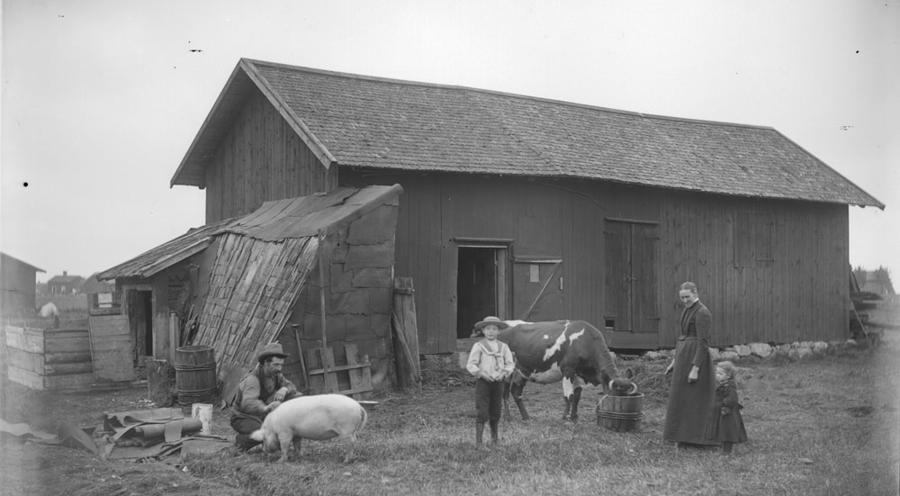 Två vuxna och två barn framför en ekonomibyggnad tillsammans med en gris och en ko.