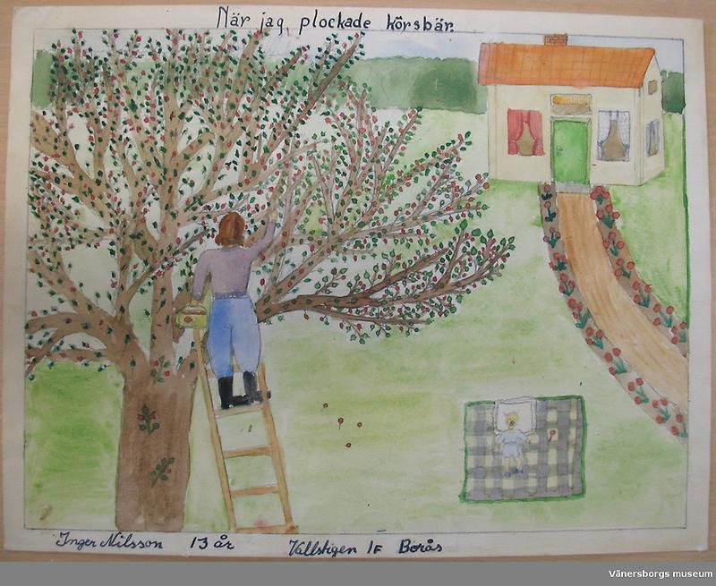 barnteckning av en person som plockar körsbär från stort träd med hus i bakgrunden