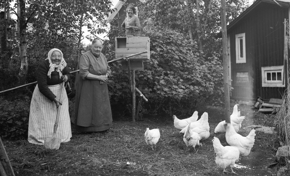 Svartvitt fotografi med två kvinnor som står i en hönsgård och ler mot kameran. I bakgrunden syns en tredje kvinna.