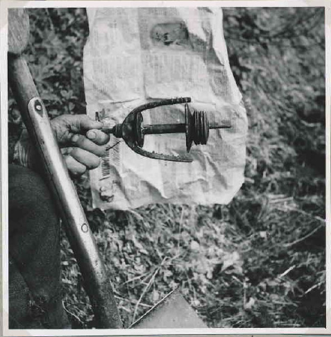 Potatissådd i Jokkmokk, Lappland 1948.