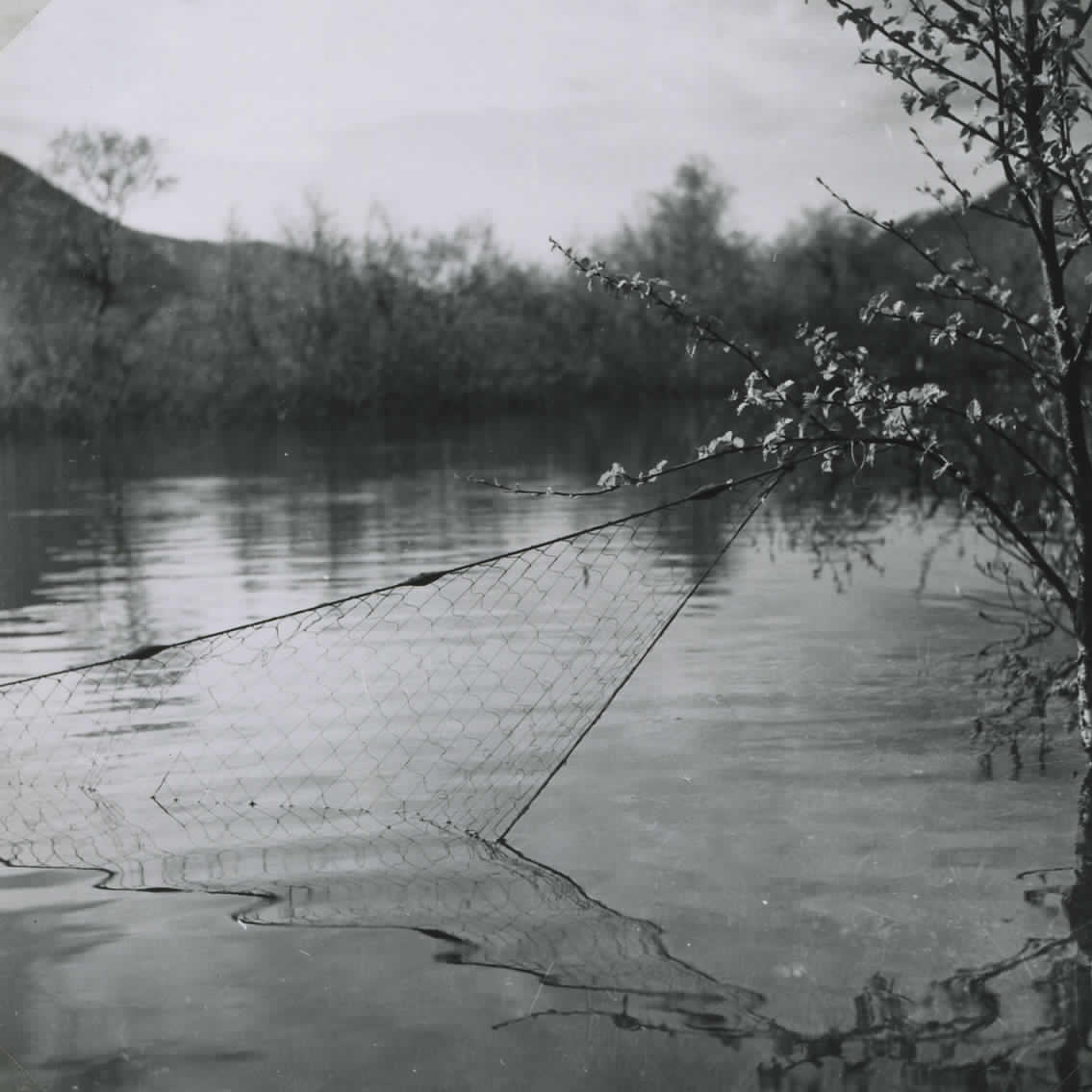Svartvitt fotografi. Närbild på fiskenät över sjö.