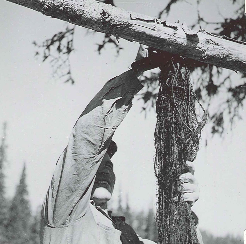 Svartvitt fotografi. Närbild på man som hänger upp ett nät på en torkställning av trä.