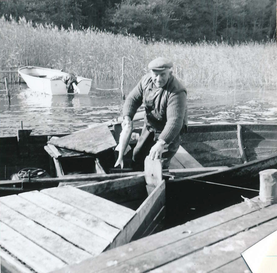 Svartvitt fotografi. Man som står med ett ben i en båt och en båt på bryggan och flyttar en fisk från båten till en öppning i bryggan.